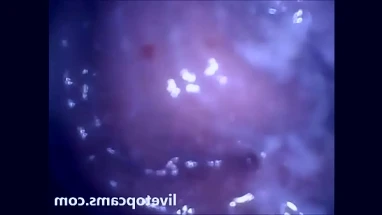 Inside of the vagina orgasm